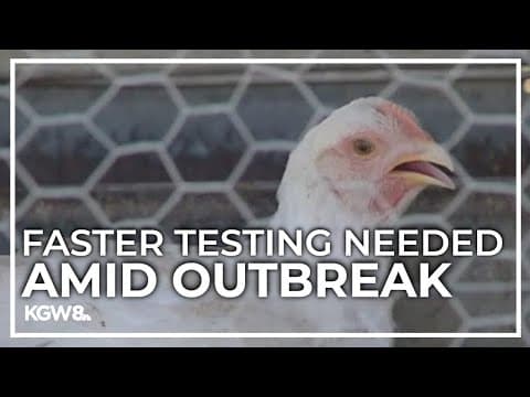 CDC calling for ramped-up testing for human bird flu cases