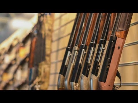 Florida House passes bill to allow 18-year-olds to buy certain guns