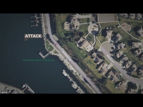 Four injured in baseball bat assaults at Oceanside Harbor