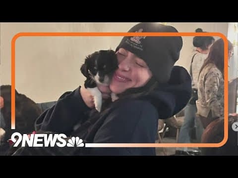 Billie Eilish hugs pups during visit to Colorado rescue
