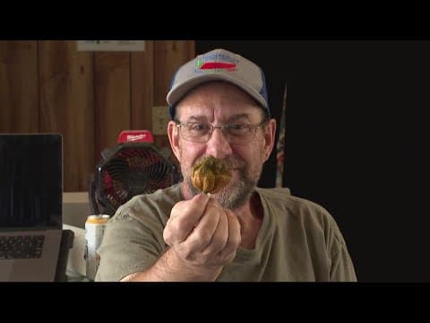 New hottest pepper in the world is Pepper X