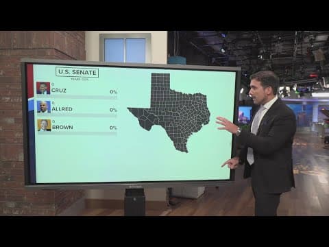 Here's what it would take for each Texas Senate race candidate to come out on top