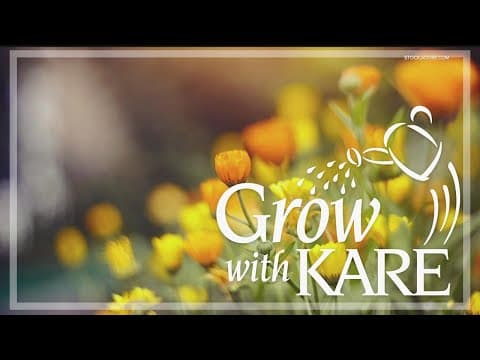 Grow with KARE | Flowers for the veggie garden