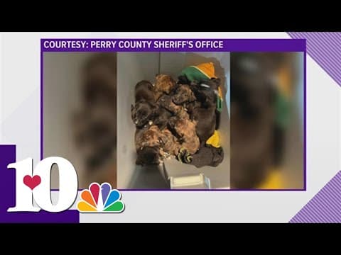 9 puppies found in cooler behind dumpster in Kentucky