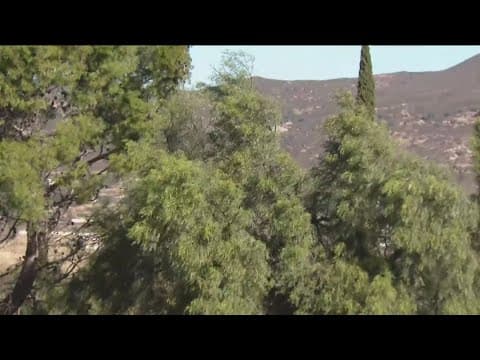 Red Flag Warning 5PM Update | Pine Valley power outages, forecast update