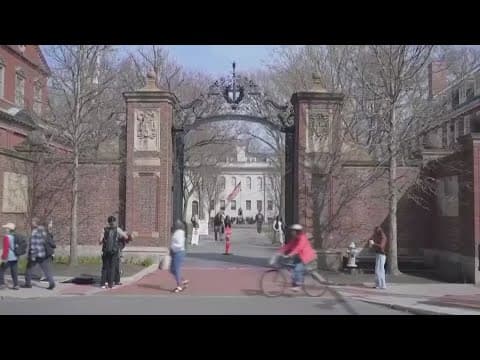 Federal judge blocks efforts to deny visas to Harvard international students