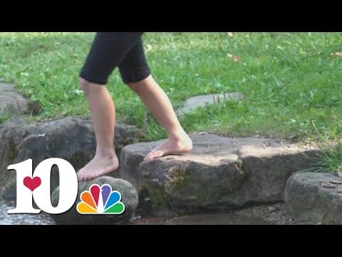 KCHD: Mosquitoes test positive for West Nile virus in Inskip area in Knoxville