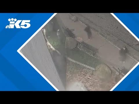 Video shows potential suspects in Edmonds shooting
