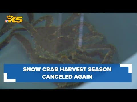Alaska cancels snow crab harvest again due to population concerns