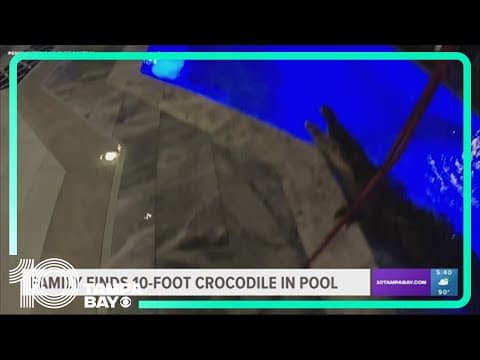 10-foot crocodile found in Florida swimming pool