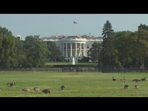 Trump administration halts federal advisory meetings, including for NIH