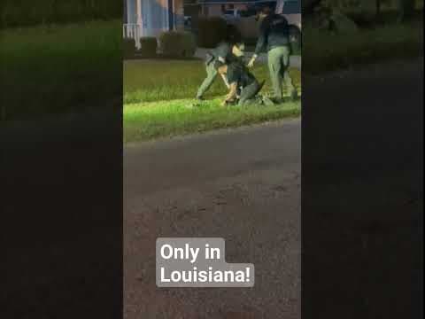 Deputies in St. John the Baptist Parish apprehend 5ft gator in LaPlace.