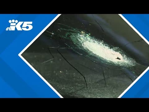 I-5 shooting spree suspect held on $1 million bail