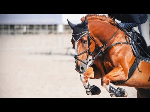 Elaine's picks for what's happening this weekend Oct. 13-15th