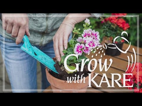 Grow with KARE: Perennials for container gardening