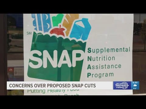 'It's a necessity for me': Concerns raised in Florida over proposed SNAP cuts