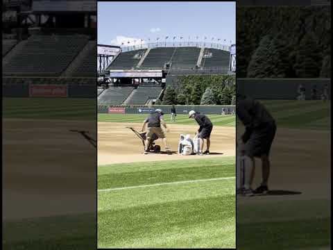 Rockies persists through hard year