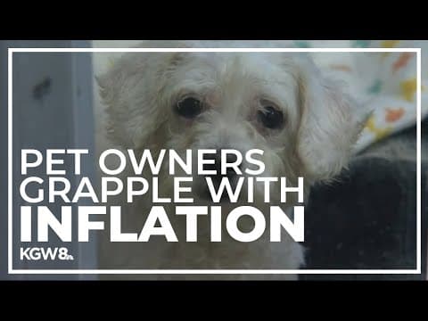 Pet owners feel impact of inflation