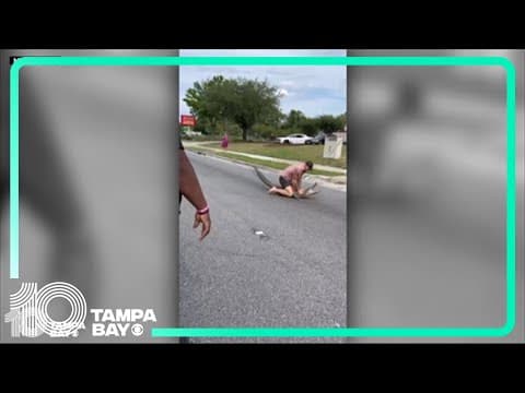 Man wrestles gator on Jacksonville street