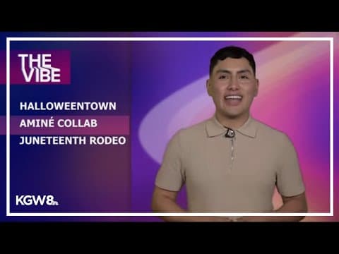 Welcome to The Vibe!