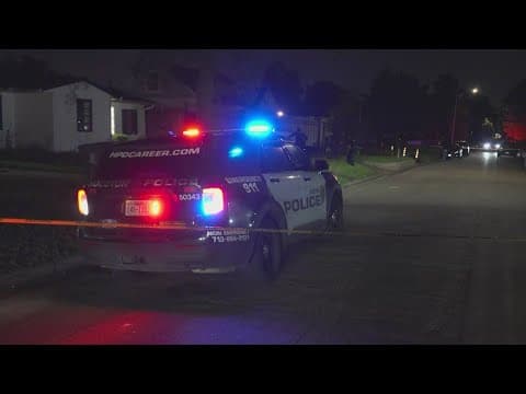 Man shoots, kills neighbor during fight in southeast Houston