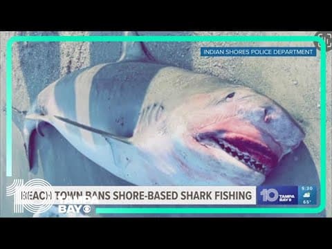 Redington Shores bans shore-based shark fishing