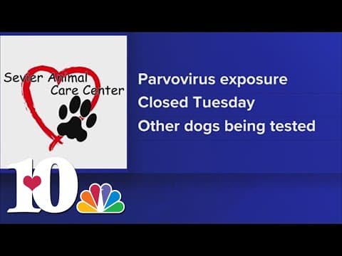Sevier Animal Care Center to temporarily close due to positive parvovirus test