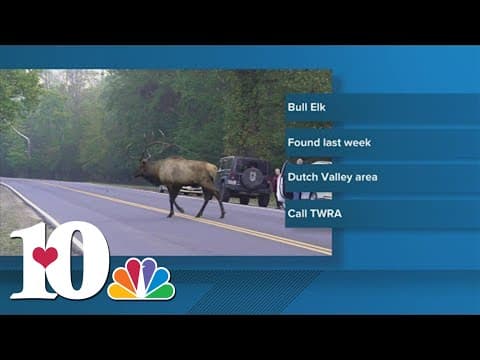 TWRA offers $4,000 reward for poacher arrest