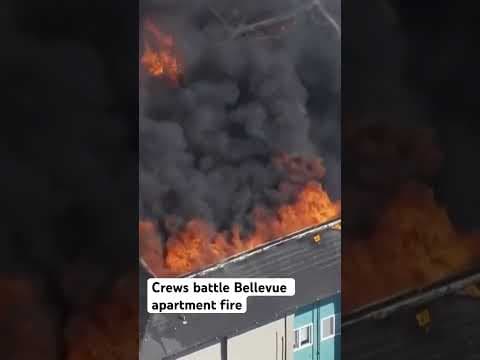 Flames tear through Bellevue apartments #shorts