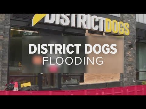 'A pet owner's worst nightmare' | District Dogs to pay $100K settlement for deadly 2023 flood