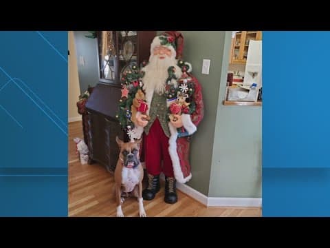 Viewers share holiday photos with WUSA9