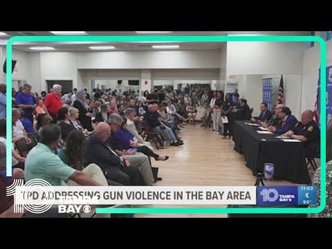 Tampa residents attend town hall to discuss recent gun violence incidents