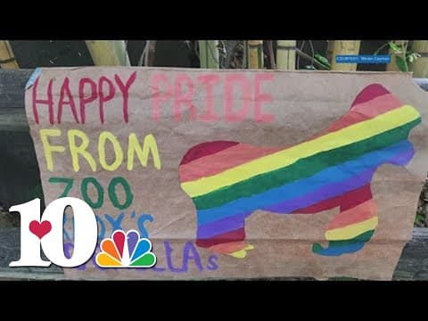 Pride Night at the Zoo returns on June 2 — helping kick off Pride Month