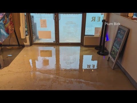 What's behind Oak Street flooding in New Orleans? More than a dozen businesses took on water