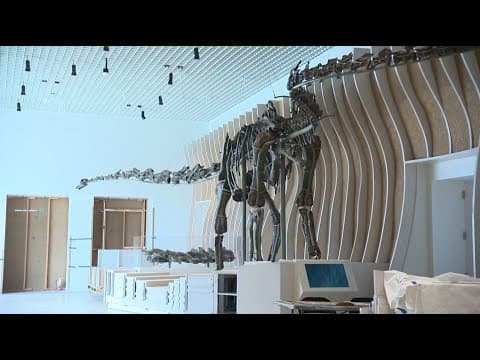 Scientists discover what is believed to be new species of dinosaur