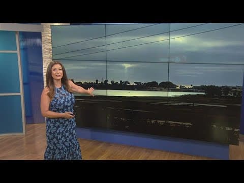 Working For Our Planet | Visit a local lagoon and observe the many species