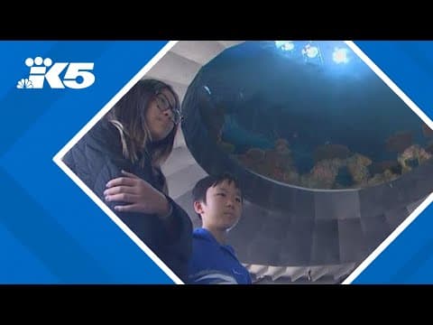 New Ocean Pavilion marks a larger milestone