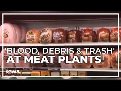 USDA documented insects, slime and ‘general filth’ at Boar's Head plants, records show