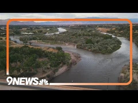 Invasive zebra mussels found on the Western slope could cause problems