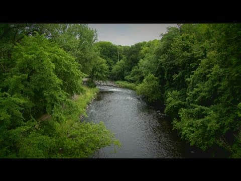 Judge rules Apple River stabbing suspect will stand trial for homicide