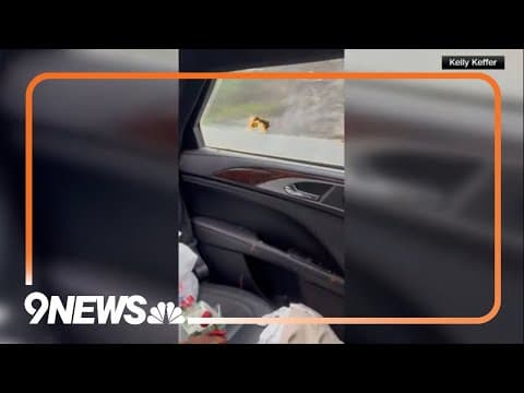 Hurricane Helene: Couple Escapes Landslide in North Carolina