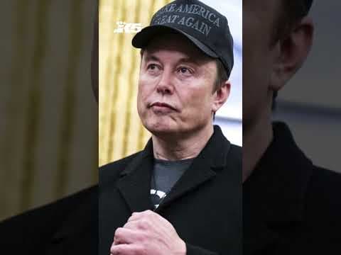 TSA officer describes 'chaos' following Musk's 'bullet points' post
