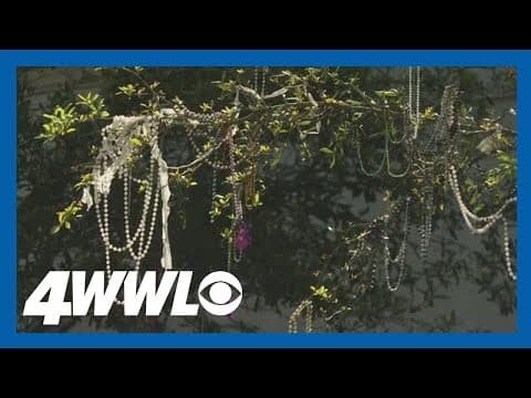 Some Mardi Gras toilet paper is still hanging around New Orleans