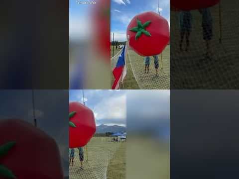 Great Tomato War: Colorado vs. Texas tomato-throwing competition.