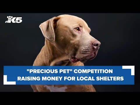 Precious pet competition raising money for Seattle, Burien, Des Moines animal shelters
