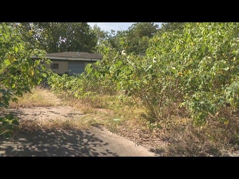 Overgrown northwest Houston property is breeding ground for snakes, rats