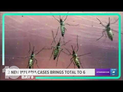New malaria cases bring total to 6 in Sarasota County