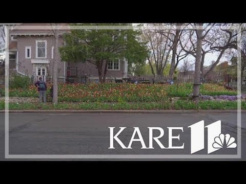 South Minneapolis 'Tulip House' in full bloom
