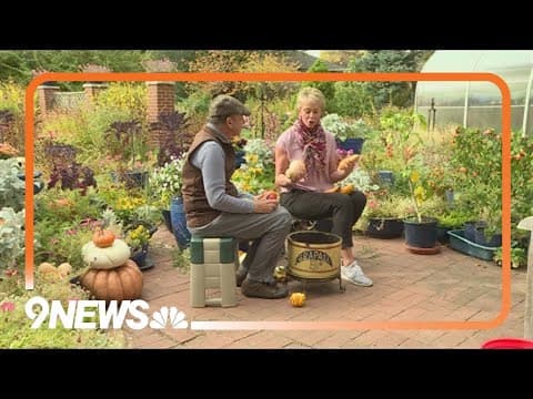 Proctor's Garden: We're not done with pumpkins yet