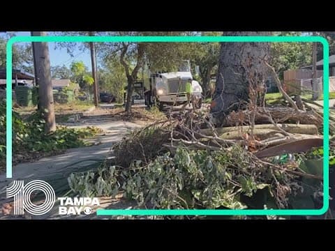 City of Sarasota's 'final pass' of storm debris pickup begins